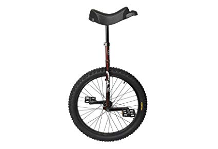 SUN BICYCLES Flat Top OR