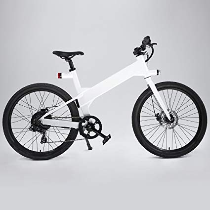 Flash v1 Lite - Electric Bike with Grip Throttle and Pedal Assist