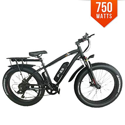 Bpmimports BPM F-25 X 750W 13AH Top Quality Fat Tire 48v Electric Bicycle Folding 20' E Bike