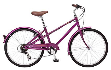 Schwinn Mifflin 24