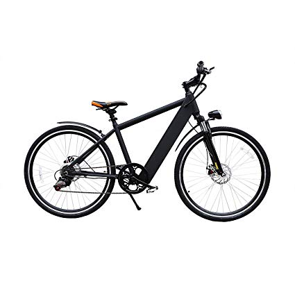 NAKTO Electric Bike Ebike for Women and Men with 36V 10Ah Lithium Battery