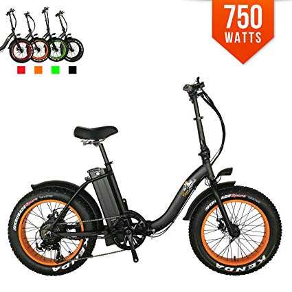 Bpmimports BPM F-15Z 750W 13AH Top Quality Fat Tire 48v Electric Bicycle Folding 20' E Bike